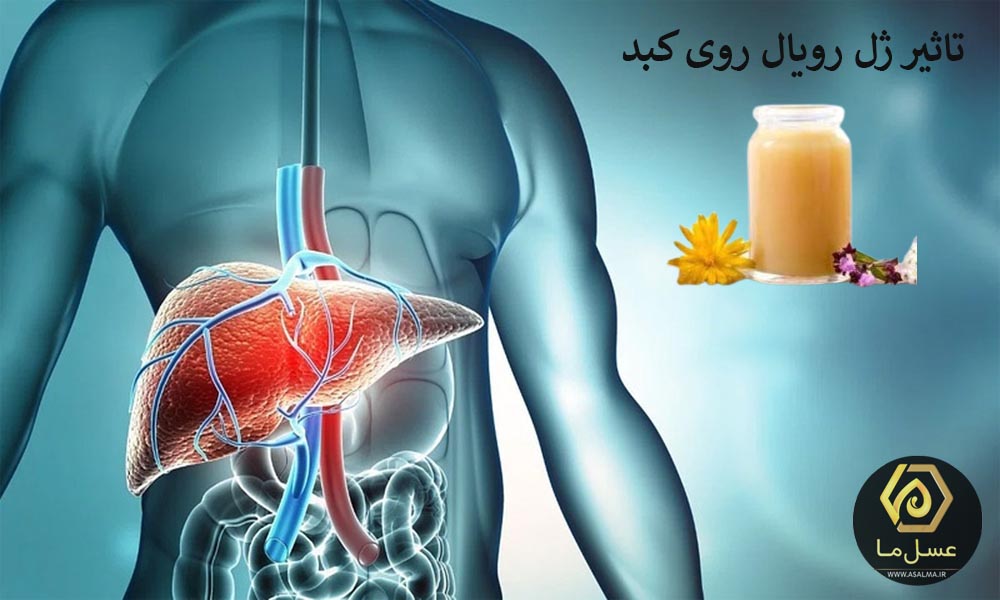 تاثیر ژل رویال روی کبد