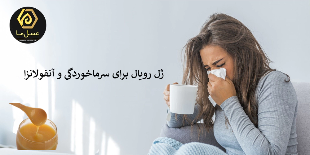 ژل رویال برای سرماخوردگی و آنفولانزا